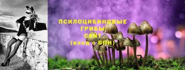 гидра Волосово